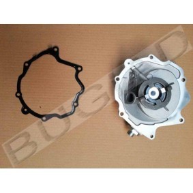Unterdruckpumpe, Bremsanlage BGT00004 von BUGIAD günstig für 190,63 € online kaufen