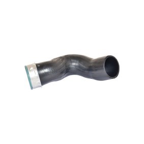 Domlager des Herstellers BUGIAD - Originalware Artikelnummer: BSP20146