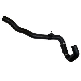 Ölpumpe BSP20297 von BUGIAD günstig für 53,03 € online kaufen