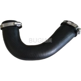 Domlager des Herstellers BUGIAD - Originalware Artikelnummer: BSP20399