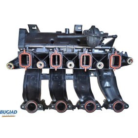 Acquista Centralina, Ventola elettr. (Raffreddamento motore) da BUGIAD BSP20761 a buon mercato per soli 40,91 €