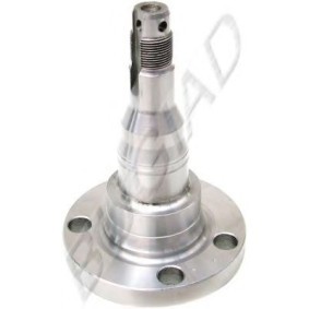 Achslager des Herstellers BUGIAD - Originalware Artikelnummer: BSP21588