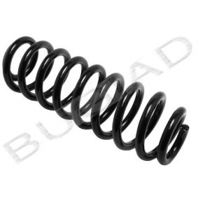 Federn des Herstellers BUGIAD - Originalware Artikelnummer: BSP21850