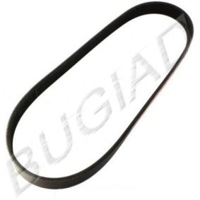 Keilrippenriemen des Herstellers BUGIAD - Originalware Artikelnummer: BSP21854