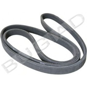 Keilrippenriemen des Herstellers BUGIAD - Originalware Artikelnummer: BSP21855