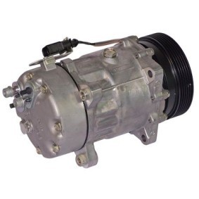 Osta Ilmastoinnin kompressori BUGIAD:llä BSP22808 edullisesti hintaan 465,19 €