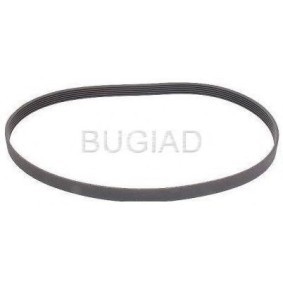 Keilrippenriemen des Herstellers BUGIAD - Originalware Artikelnummer: BSP23130