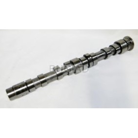 Nockenwelle des Herstellers BUGIAD - Originalware Artikelnummer: BSP23175