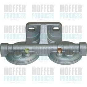 Einspritzanlage 8029076 IVECO von HOFFER