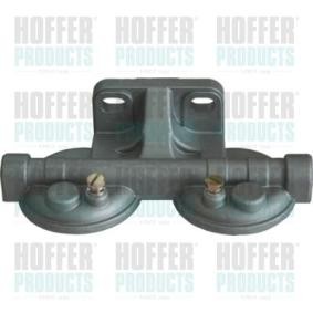 Einspritzanlage 8029077 IVECO von HOFFER