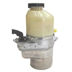 Acquista Pompa idraulica, sterzo da LIZARTE 04.55.1000 a buon mercato per soli 439,57 €