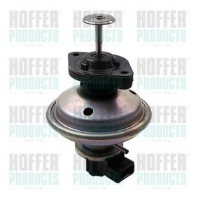 Compre Válvula EGR da HOFFER 7518195 a um preço baixo por 247,77 €