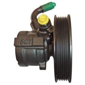 Acquista Pompa idraulica, sterzo da LIZARTE 04.07.0381-2 a buon mercato per soli 243,36 €