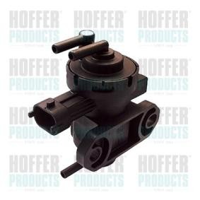 Druckwandler, Turbolader 8029239 von HOFFER günstig für 159,48 € online kaufen