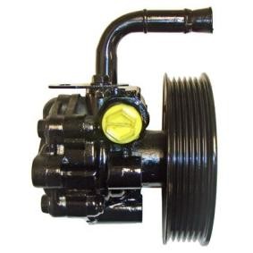 Acquista Pompa idraulica, sterzo da LIZARTE 04.76.0604-1 a buon mercato per soli 280,58 €