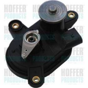 Stellelement, Drallklappen (Saugrohr) 7519082 von HOFFER günstig für 238,80 € online kaufen