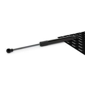 Compre Mola pneumática, capot do motor da RIDEX 514G0025 a um preço baixo por 10,57 €