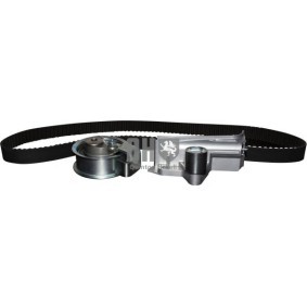 Zahnriemensatz 1112101119 von JP GROUP günstig für 95,16 € online kaufen