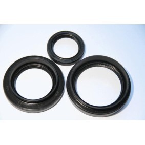Dichtungssatz, Differential für DODGE von CORTECO