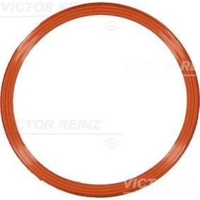 Acquista Guarnizione, Collettore aspirazione da REINZ 71-10829-00 a buon mercato per soli 4,41 €