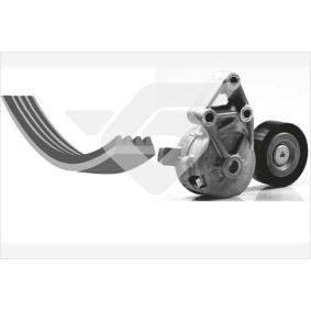 Acquista Kit Cinghie Poly-V da HUTCHINSON KHV 111 a buon mercato per soli 72,44 €