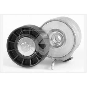 Acquista Rullo tenditore cinghia Poly-V da HUTCHINSON T0432 a buon mercato per soli 55,34 €