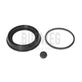 Dichtung, Bremssattelkolben 186054 von BUDWEG CALIPER günstig für 13,36 € online kaufen