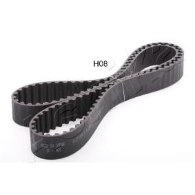 Acquista Cinghia dentata da ASHIKA 40-0H-008 a buon mercato per soli 36,99 €