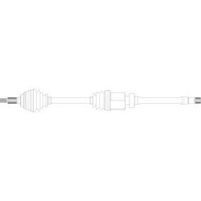 Compre Palier de GENERAL RICAMBI online para Camry Berlina (_V1_) a precios moderados