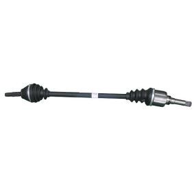 Antriebswelle PE3306 von GENERAL RICAMBI günstig für 248,88 € online kaufen
