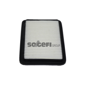 Acquista Filtro aria da COOPERSFIAAM FILTERS PA7613 a buon mercato per soli 38,36 €