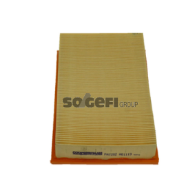 Acquista Filtro aria da COOPERSFIAAM FILTERS PA7202 a buon mercato per soli 31,90 €