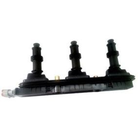 Achetez des Bobine d'allumage MAGNETI MARELLI 060717140012 à prix pour 69,30 €