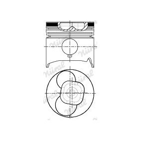 Achetez des Piston NÜRAL 87-248000-00 à prix pour 124,24 €