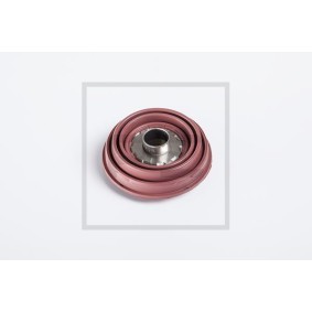 Köp Lock till expansionskärl av PETERS ENNEPETAL 030.468-00A till det låga priset 360,56 kr