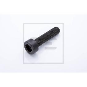 Schwungradschraube des Herstellers PETERS ENNEPETAL - Originalware Artikelnummer: 010.162-00A
