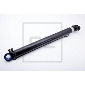 Acquista Testa snodo sferico, Tiranteria comando marce da PETERS ENNEPETAL 140.057-00A a buon mercato per soli 16,82 €