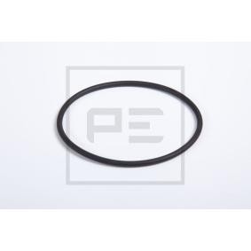 Dichtring, Radnabe 106.207-30A DAF von PETERS ENNEPETAL
