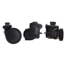 Servopumpe 715520864 von DRI günstig für 216,28 € online kaufen