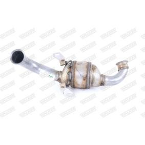 Compre Catalizador de WALKER online para 207 SW Furgoneta / Familiar (WK) a precios moderados