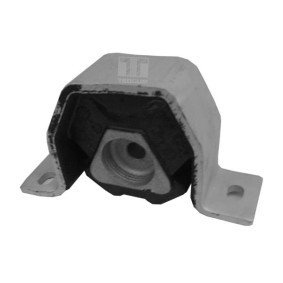 Acquista Supporto motore da TEDGUM 00212975 a buon mercato per soli 11,16 €
