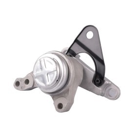Schutzkappe / Staubmanschette, Stoßdämpfer für FORD USA von TEDGUM
