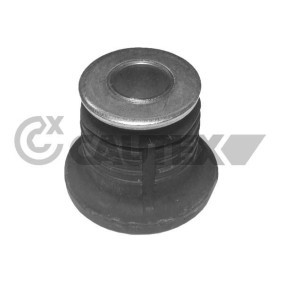 Achskörperlager von CAUTEX