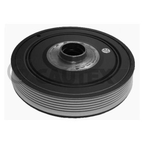 Acquista Puleggia cinghia albero a gomiti da CAUTEX 020954 a buon mercato per soli 214,40 €