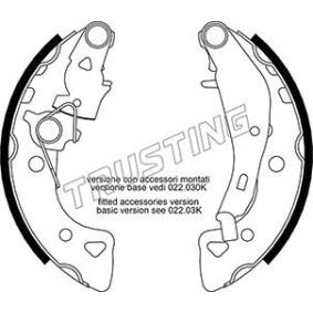 Bremsbackensatz 022.034Y von TRUSTING günstig für 50,22 € online kaufen