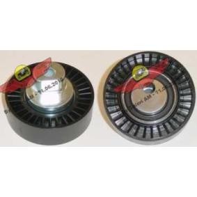 Umlenk- / Führungsrolle, Keilrippenriemen 03.168 von AUTOKIT günstig für 74,95 € online kaufen