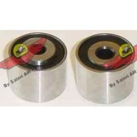 Umlenk- / Führungsrolle, Keilrippenriemen 03.80202 von AUTOKIT günstig für 57,64 € online kaufen