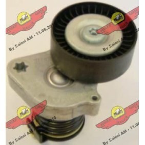 Riemenspanner, Keilrippenriemen 03.80962 von AUTOKIT günstig für 145,43 € online kaufen