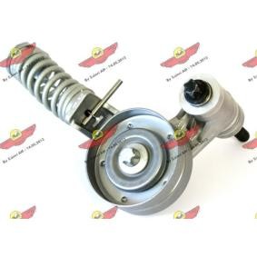 Spannarm, Keilrippenriemen 03.81897 von AUTOKIT günstig für 129,08 € online kaufen