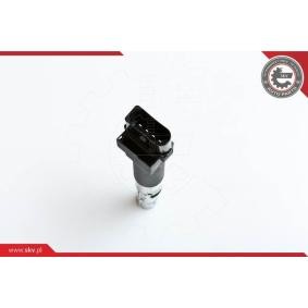 Acquista Bobina d'accensione da ESEN SKV 03SKV133 a buon mercato per soli 42,59 €